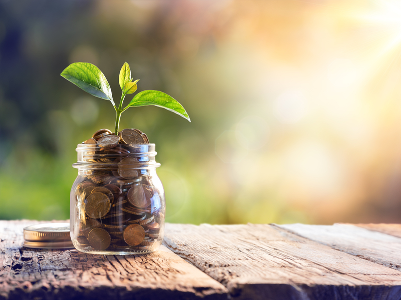 Un pot masson rempli de pièces de monnaie. Dans ces pièces est plantée une petite plante.