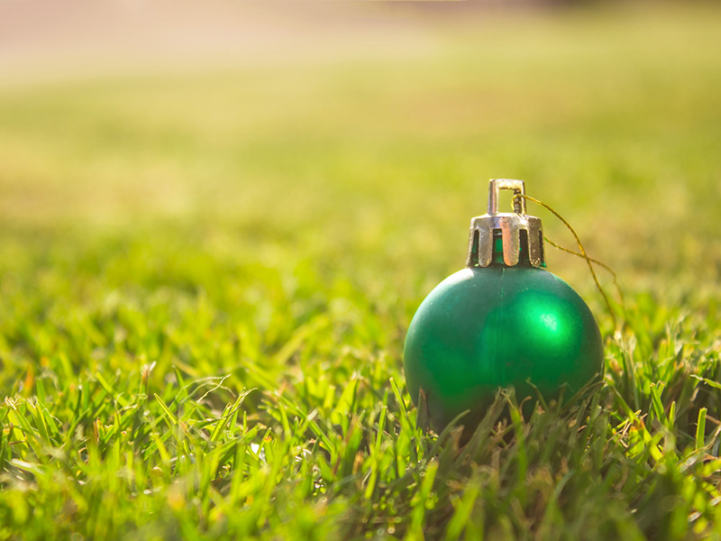 Boule de Noël verte dans le gazon.