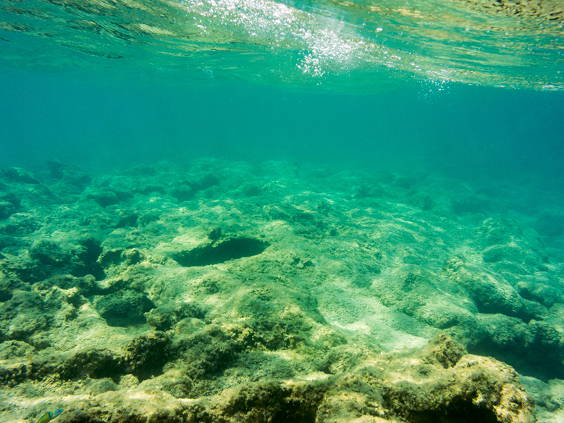 Underwater coral reef